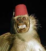 A scary monkey wearing a red fez poses for the camera